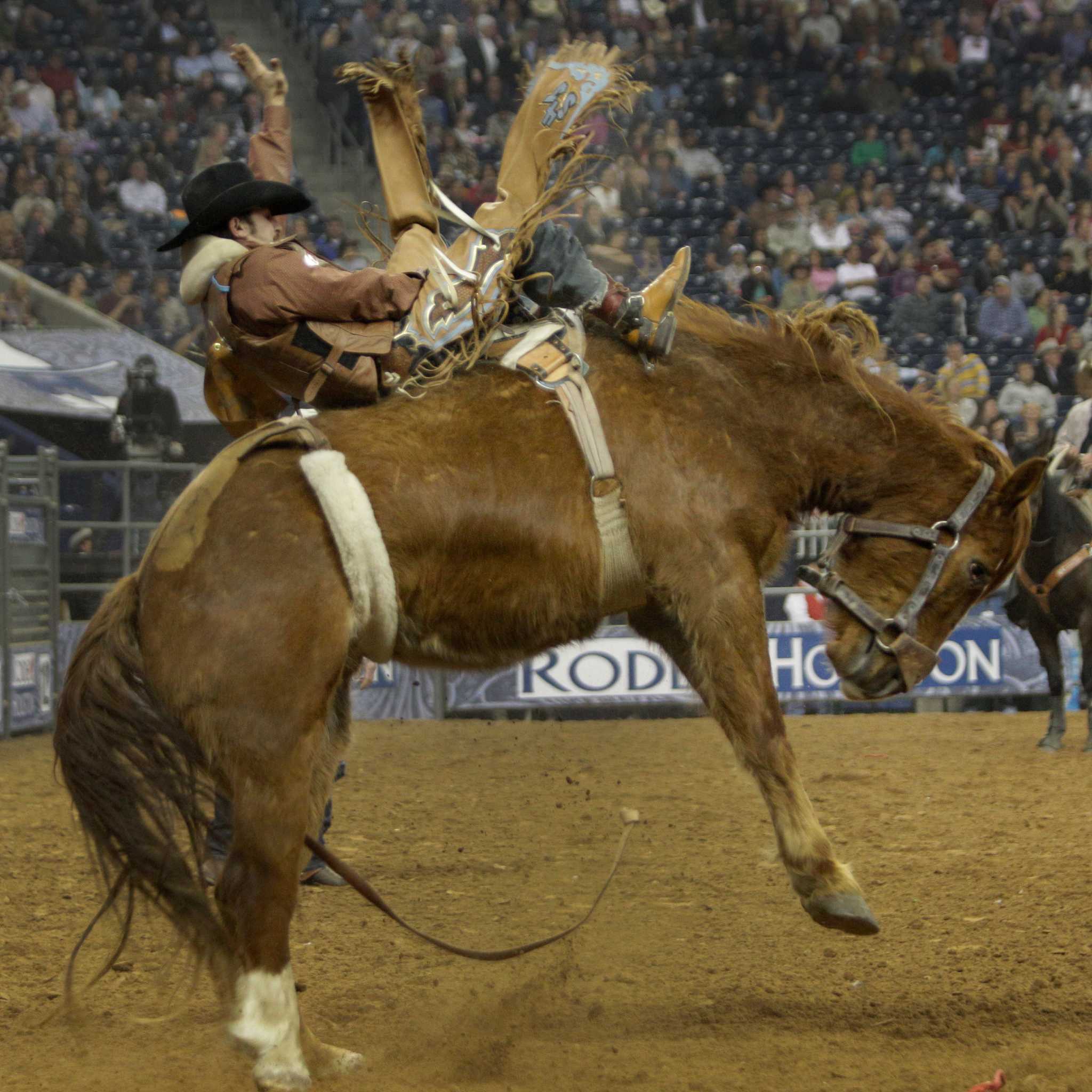 3-time bull riding champ Harris chute-ing for elusive RodeoHouston win