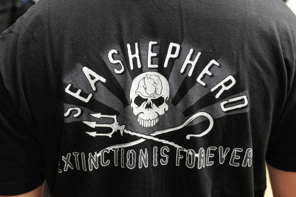 sea shepherd t shirts