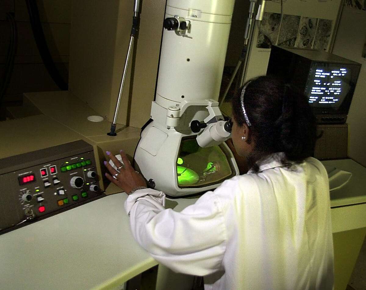 ** ADVANCE FOR MONDAY JULY 8 ** Ivonne Menendez, microscope technician of the Center of Biotechnology and Genetic Engineering, examines biological tissues on an electronic microscope in Havana, Cuba on Thursday, May 30, 2002. Founded in 1981, the Center of Biotechnology and Genetic Engineering is located about 12 miles west of the Cuban capital and is known as the scientific headquarters of the country. (AP Photo/Cristobal Herrera)