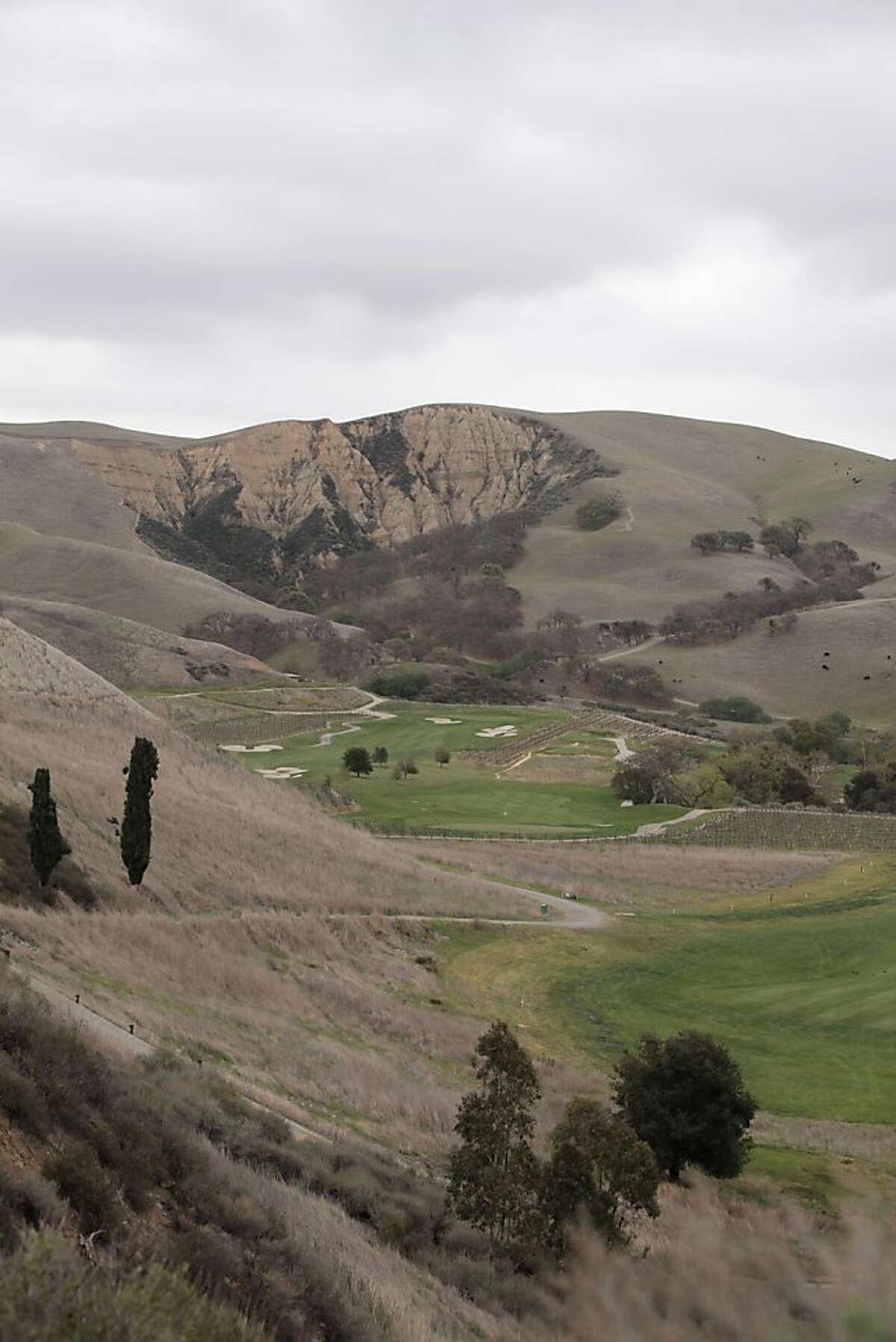 Landscape showing the "Cresta Blanca" - a design used on Wente's wine bottles - at Wente Vineyards in Livermore, California on March 16, 2012.