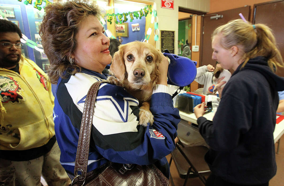 Spaying, neutering done en masse at Big Fix clinic
