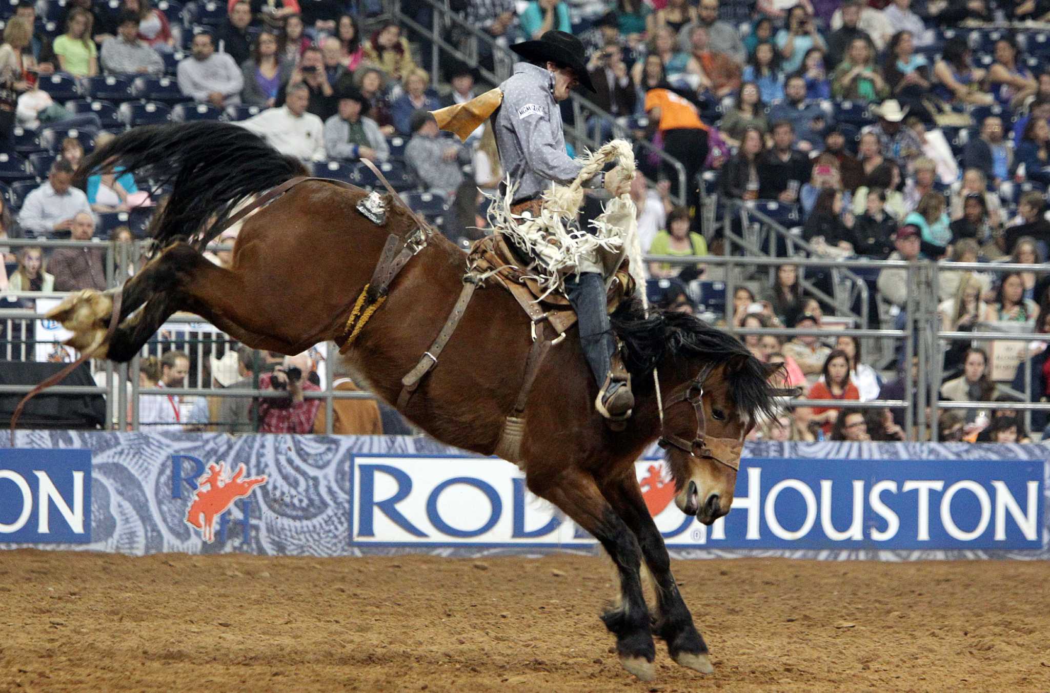 It s Sterling s year to shine for saddle bronc riding 