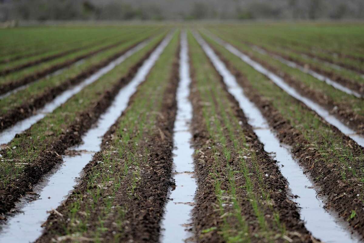 Drought hits hard in Uvalde County