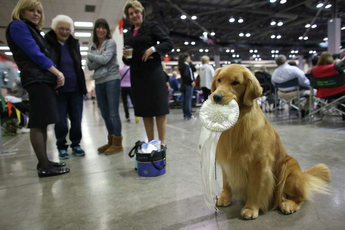 Seattle Kennel Club Dog Show