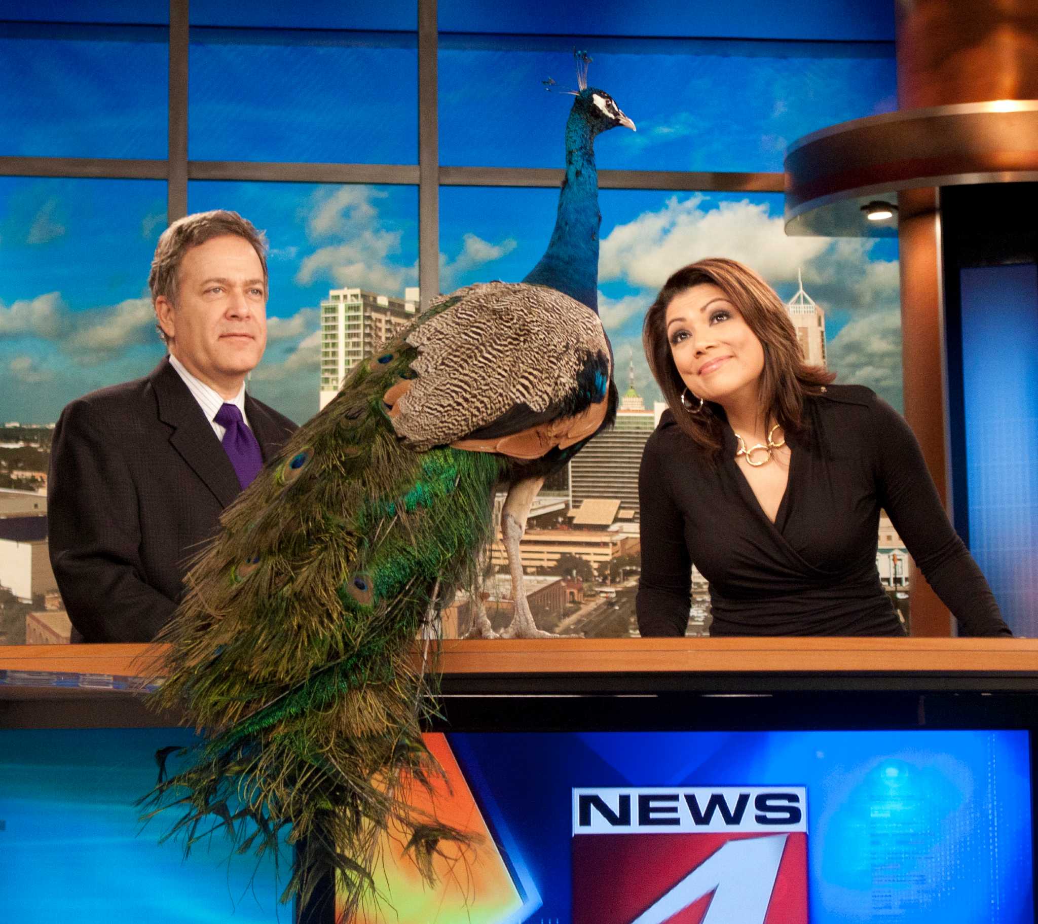 WOAITV anchor leaving in December