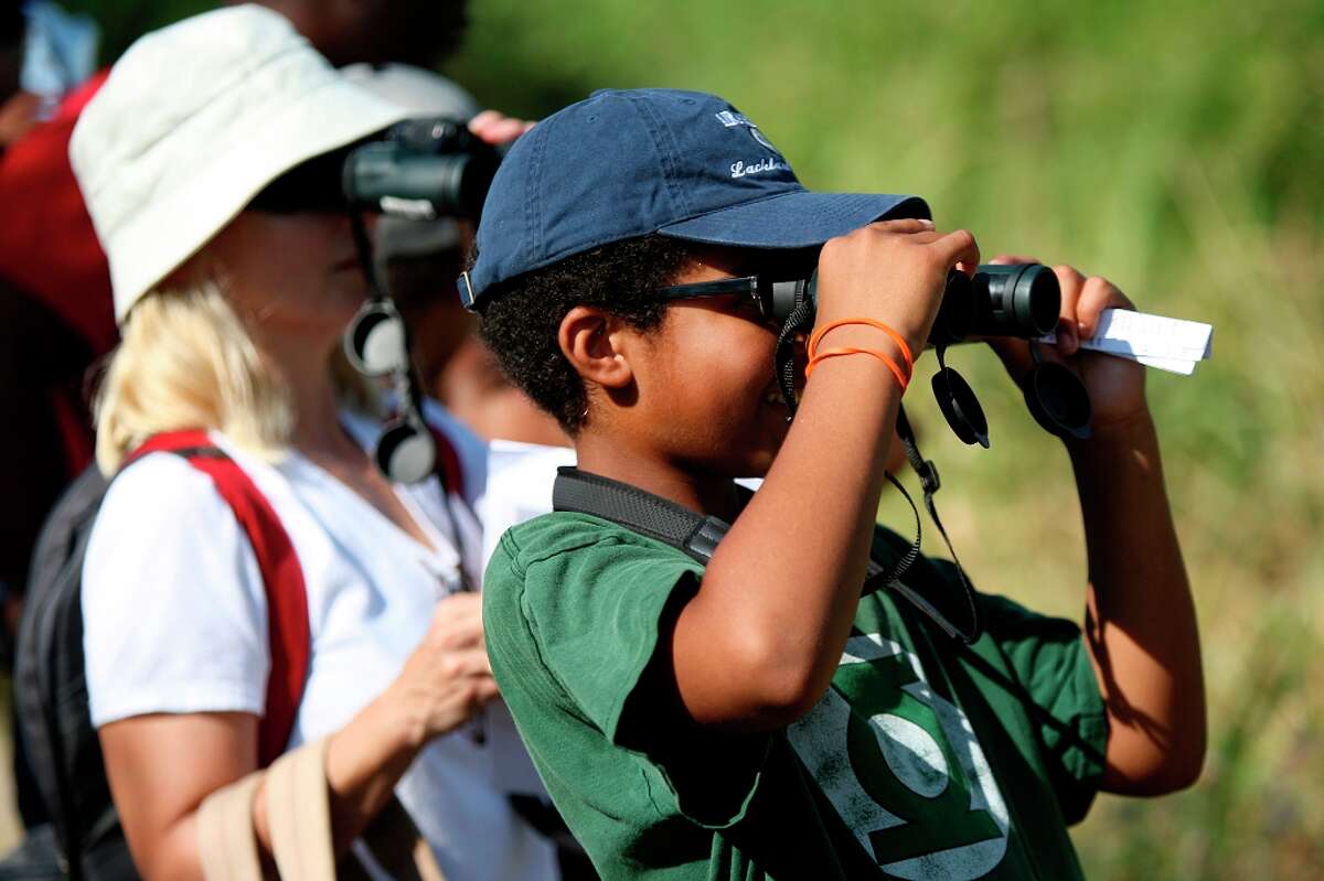 Mitchell Lake Audubon Center offers bird-watching and other nature activites for all ages. Express-News file photos