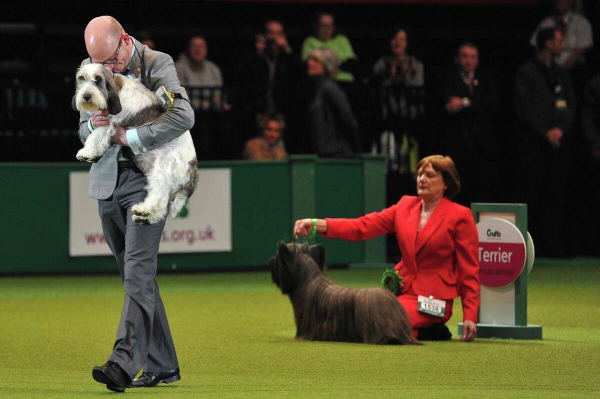 crufts-dog-show