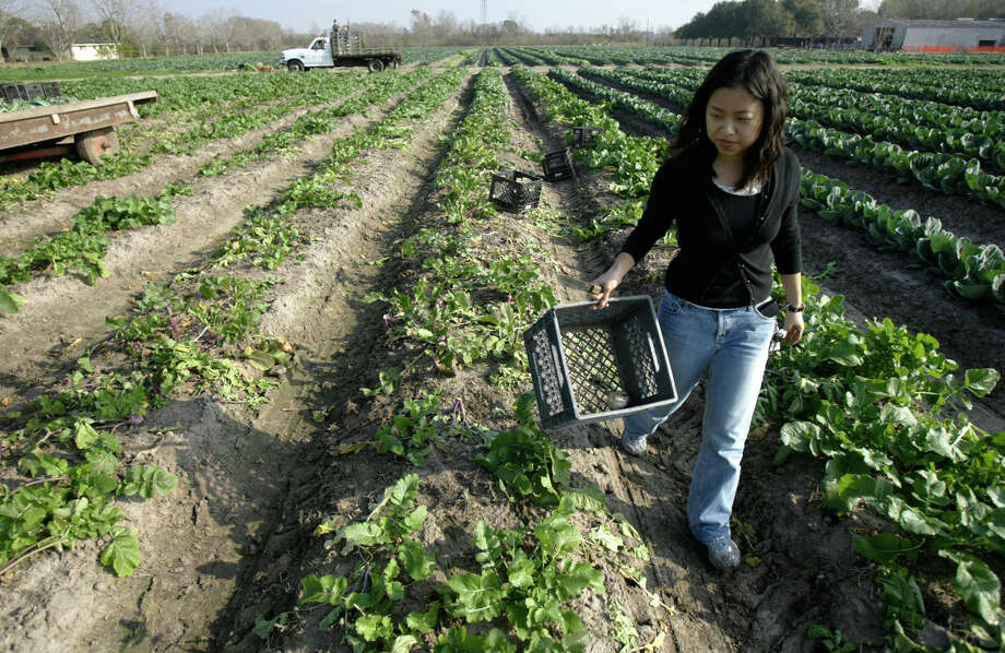 Who's licensed to open carry? The 40 ZIPs in Texas where the most CHL