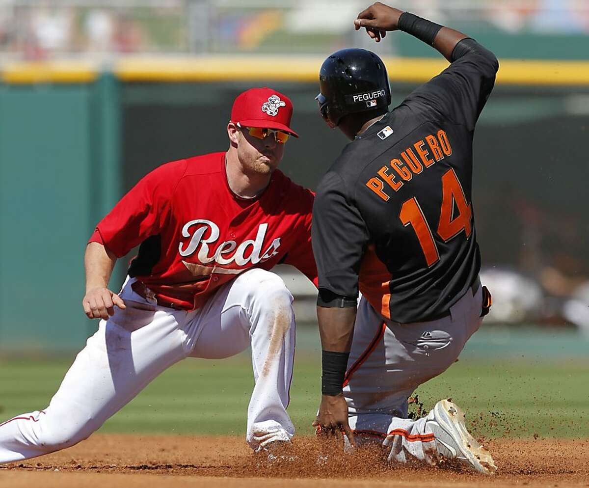 Hensley Meulens leads Dutch WBC team
