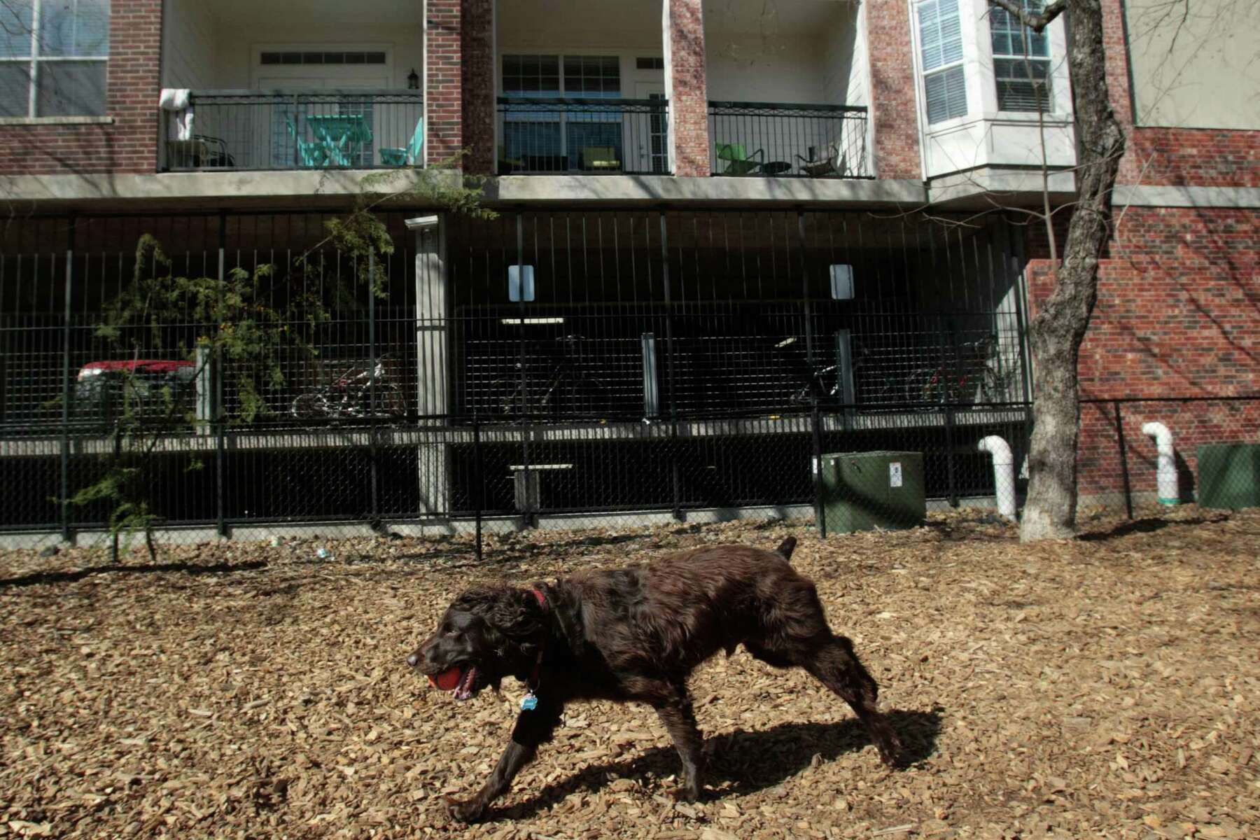 Reddit Users Share Their Neighbors From Hell Stories