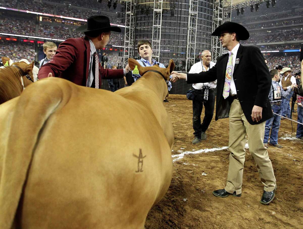 Grand champion steer fetches 360,000