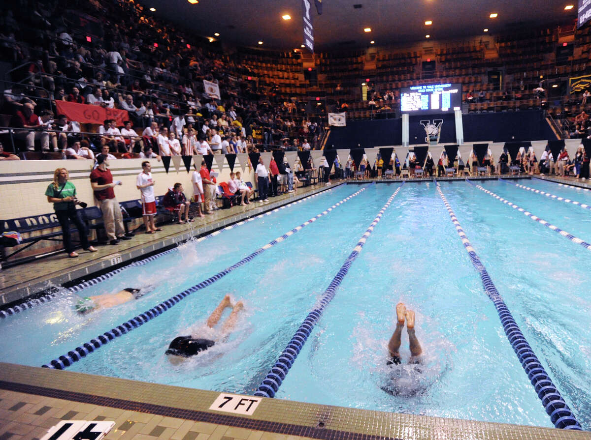 open swimming society