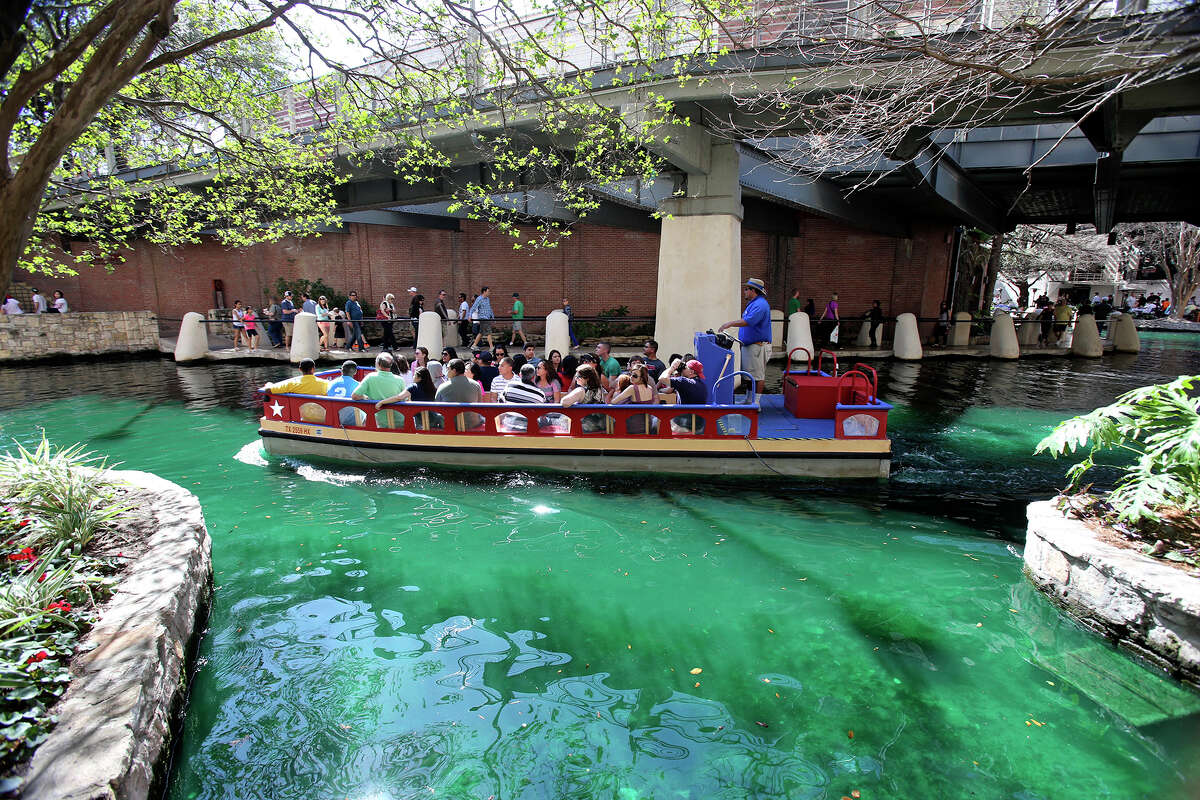 A barge passes makes its way under budding trees and green water as St. Patrick's Day is celebrated on the Riverwalk and La Villita on March 16, 2013.