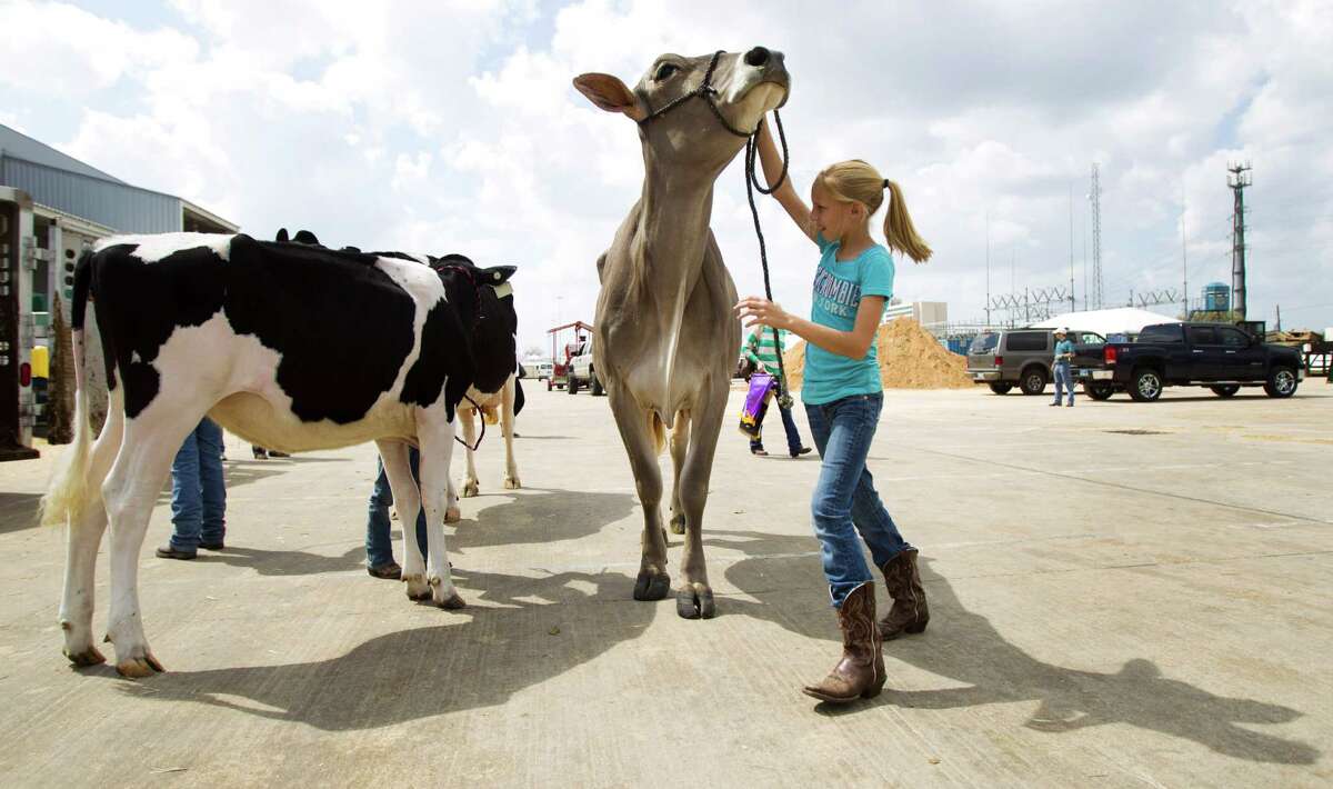 hits a billion page views for 2013