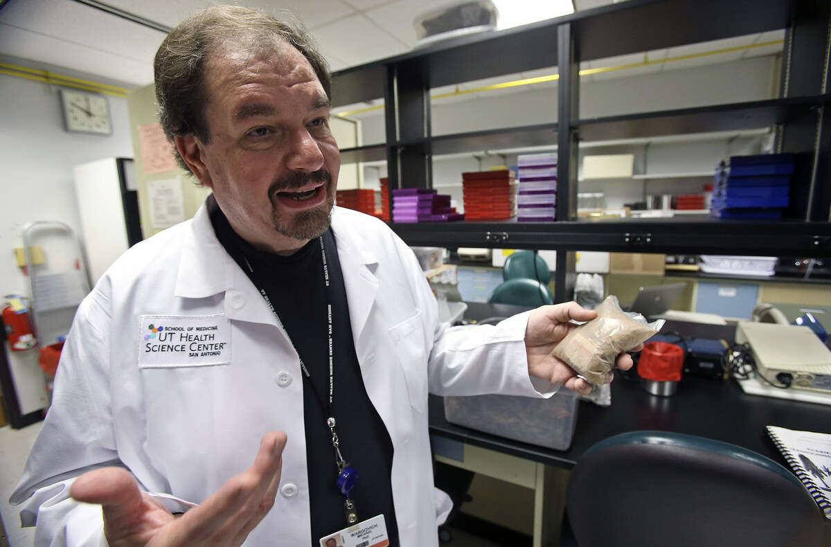 Michael Wargovich, a professor of molecular medicine at the University of Texas Health Science Center, displays a small bag of mixed plant life remedies as he talks about his research on foods that inhibit cancer. Wargovich is studying foods with anti-inflammatory properties, including fruits, vegetables, spices and herbs.