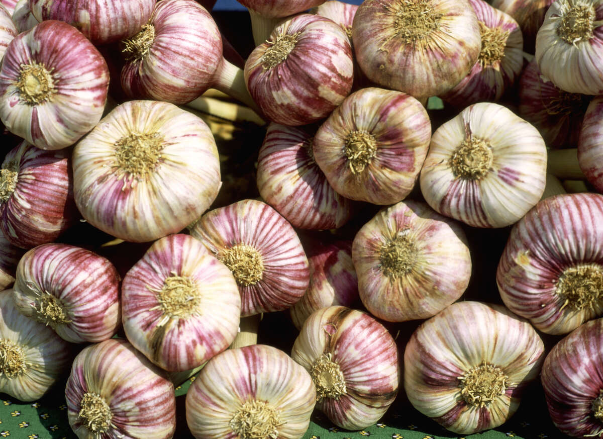 Repelling mosquitoes naturally