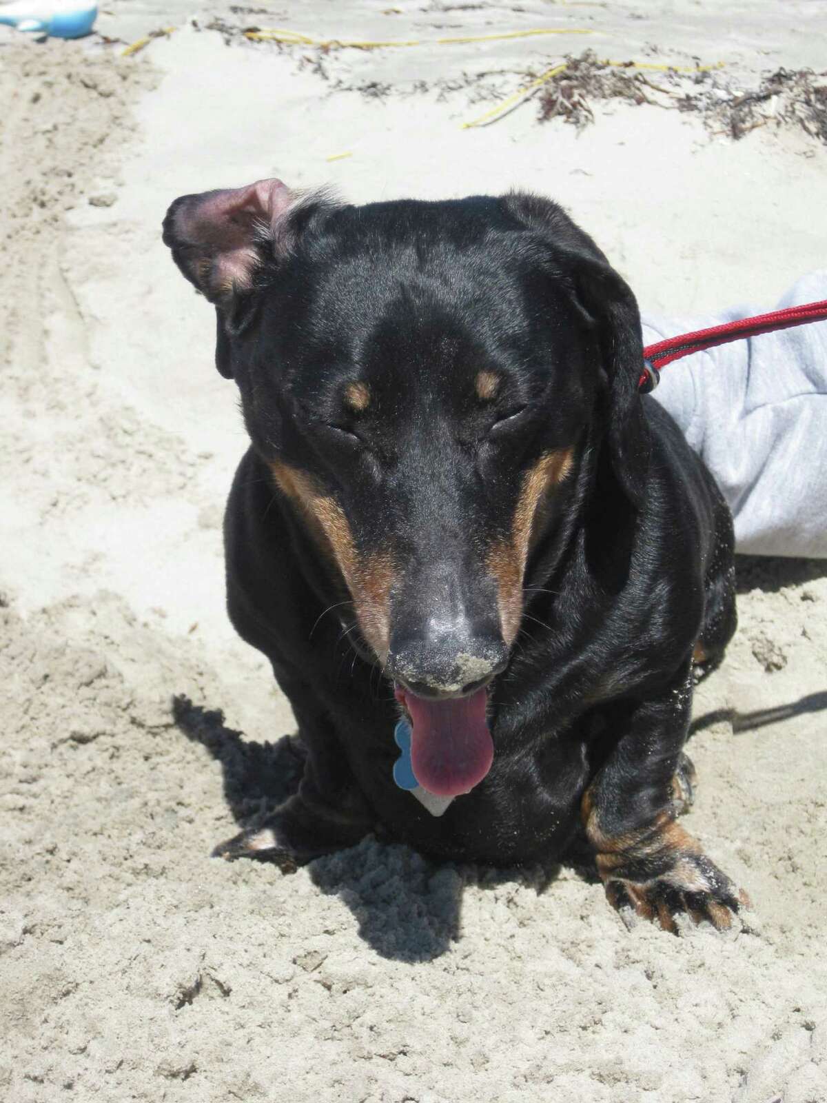 Beach the star in Port Aransas