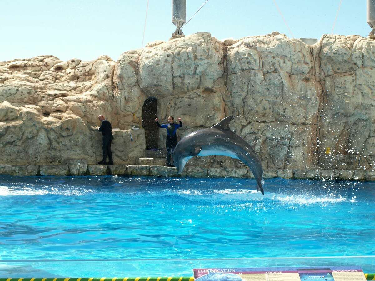 Travel Corpus Christi delights