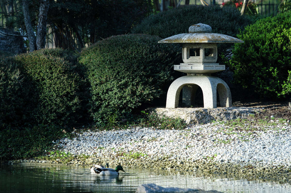 Living legacy Terunobu Nakai and Hermann Park's Japanese Garden