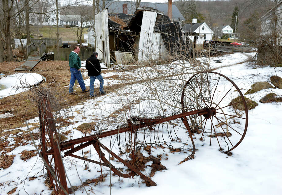 oxford37 bear sightings photo: christian abraham