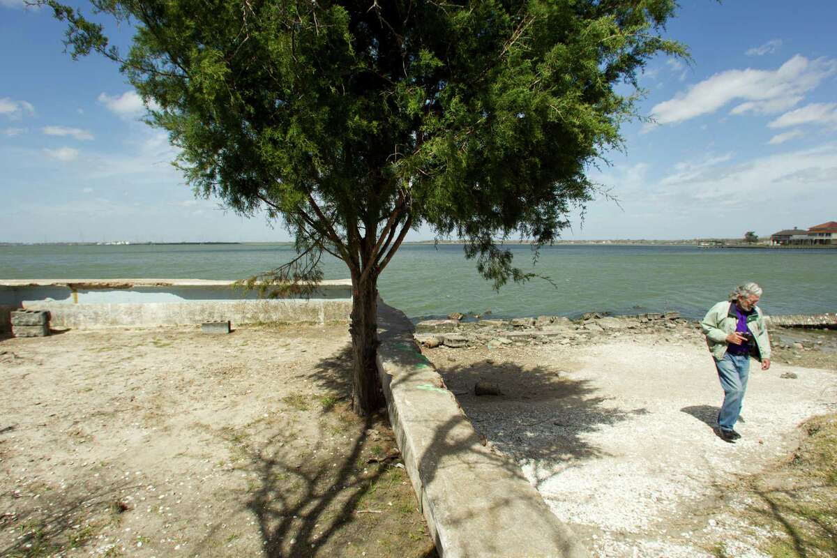 At the Baytown Nature Center, John Mason walks past a tree growing in what was once an in-ground swimming pool. The nature center is on the former site of the Brownwood subdivision, which as groundwater underneath was pumped away, Brownwood began sinking into the surrounding bays. ( Brett Coomer / Houston Chronicle )