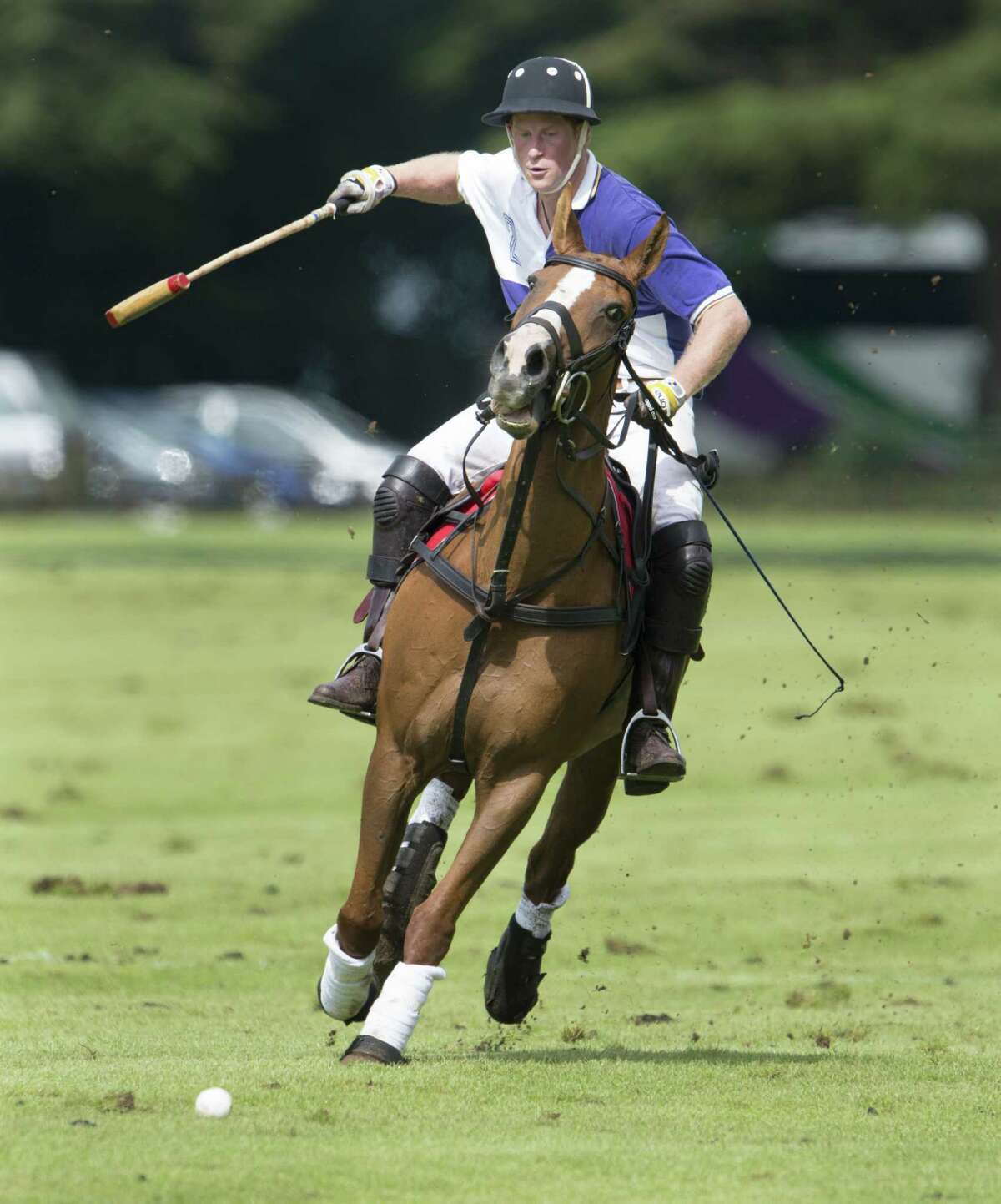 Prince Harry playing in the 2012 Jerudong Trophy Polo Match at Cirencester Park Polo Club in England. BritainâÄôs Prince Harry,the youngest son of Prince Charles and the late Princess Diana is scheduled to compete in a polo match in Greenwich, Conn. in May. The event will benefit Sentebale, a charity he co-founded to help impoverished children in the African nation of Lesotho.