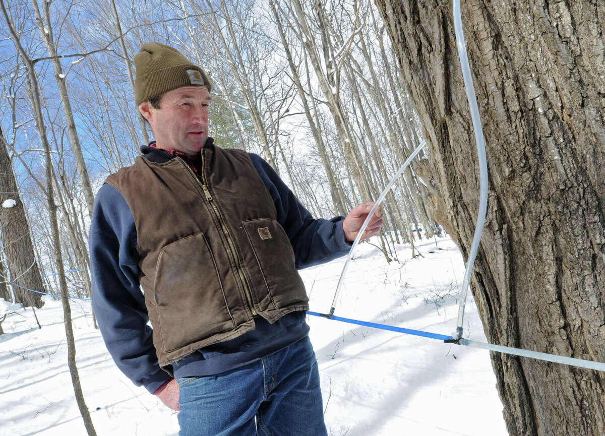 Learning to tap a vast natural resource