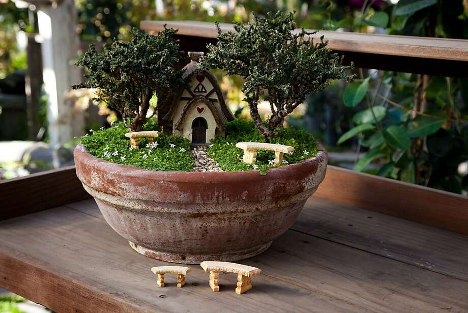 Fairy Gardens Create Tiny Worlds Sfgate Julie Bawden Davis And Beverly Turner Offer A List Of More Than 100 Plants Suitable
