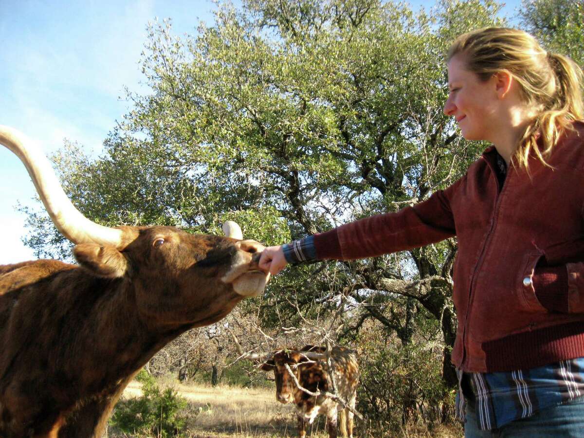 Emily Jane McTavish, a UT doctoral student, grew up in New York. She came to admire longhorns as "amazing, beautiful, cool animals," and studies them on UT biology professor David Hillis' Double Helix Ranch.