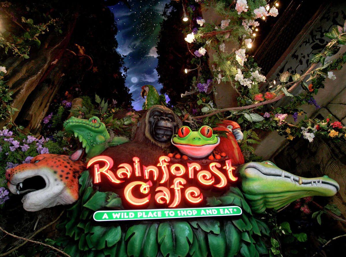 Wild place. Rainforest кафе. Дубай Молл Rainforest Cafe. Туалет в Rainforest Cafe. Wild places.