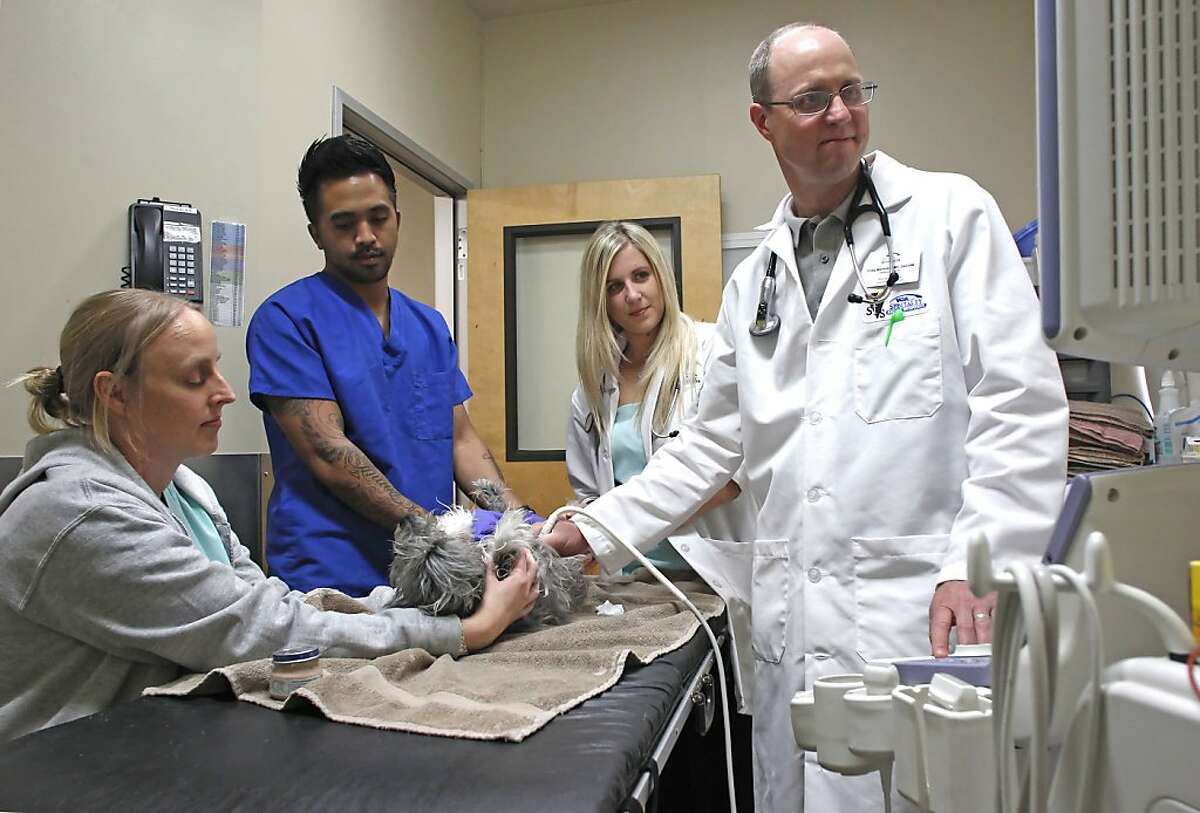 State short of foodanimal veterinarians