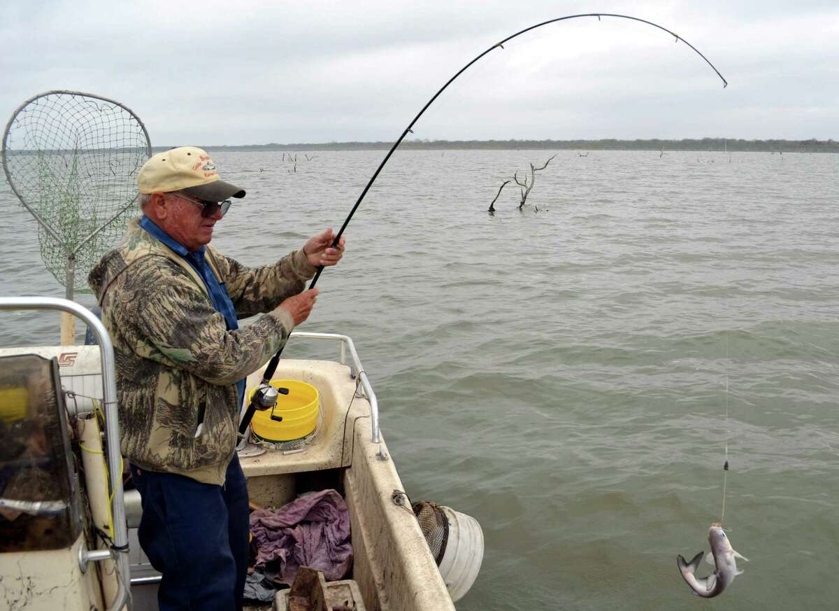 Shrinking Choke Canyon catfish have anglers feeling blue