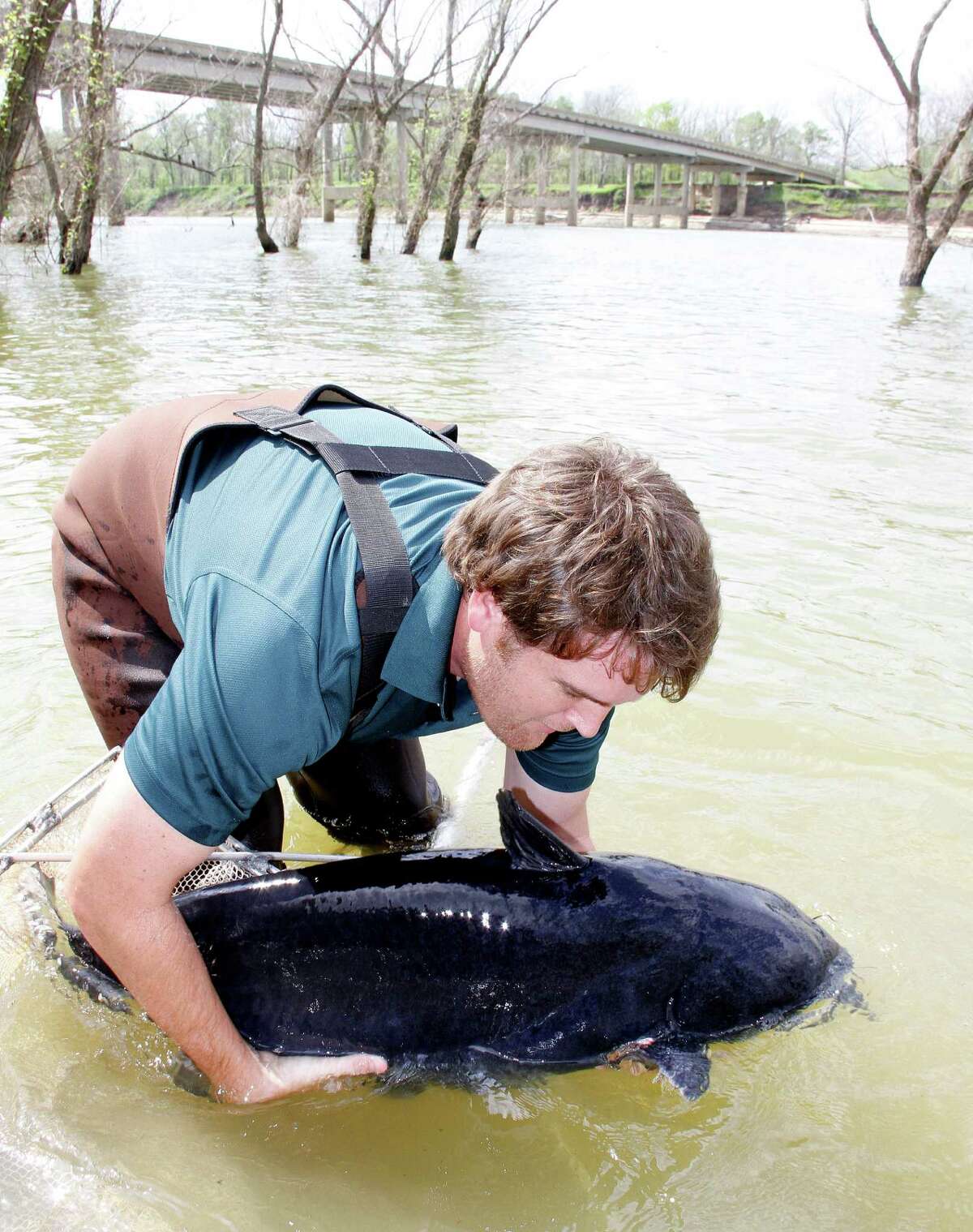 Shrinking Choke Canyon catfish have anglers feeling blue