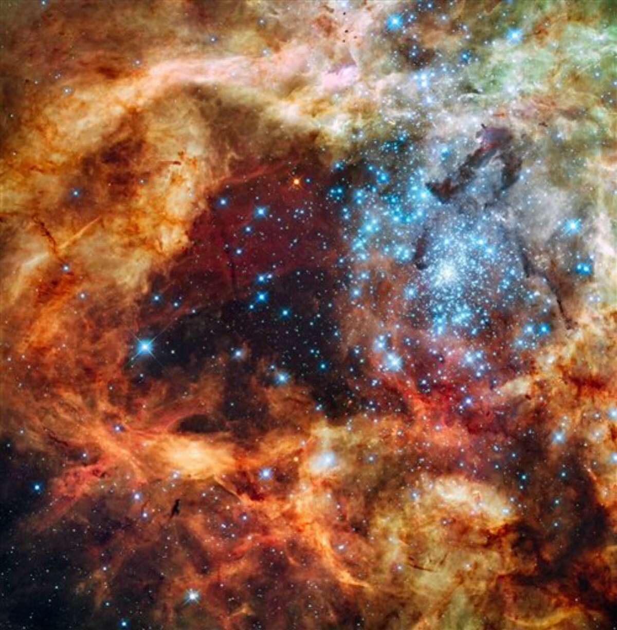 This image provided by NASA's Hubble Space Telescope Tuesday Dec. 15, 2009 shows hundreds of brilliant blue stars wreathed by warm, glowing clouds. The festive portrait is the most detailed view of the largest stellar nursery in our local galactic neighborhood. The massive, young stellar grouping, called R136, is only a few million years old and resides in the 30 Doradus Nebula, a turbulent star-birth region in the Large Magellanic Cloud (LMC), a satellite galaxy of our Milky Way. There is no known star-forming region in our galaxy as large or as prolific as 30 Doradus. (AP Photo/NASA)
