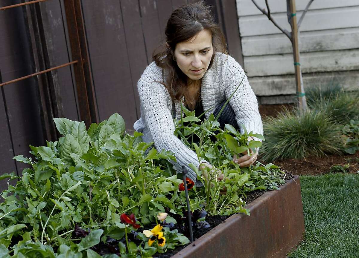 Small Yard Artfully Packed With Edibles