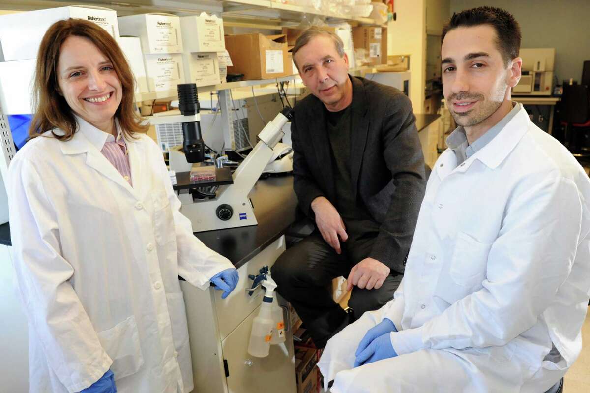 New Stem Cell Food Pioneered