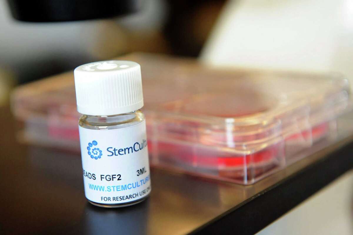 New Stem Cell food Pioneered