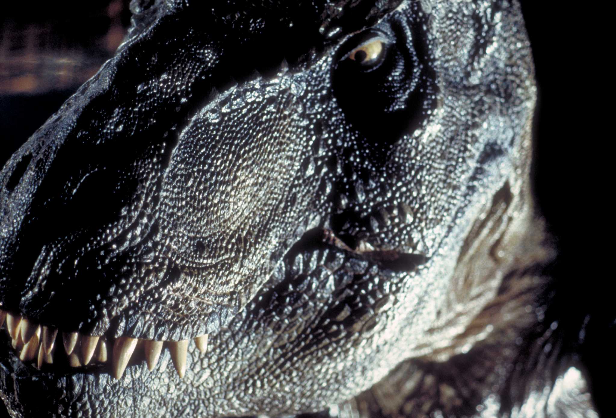 #39 Jurassic Park #39 through the years #39 Jurassic Park #39 through the years