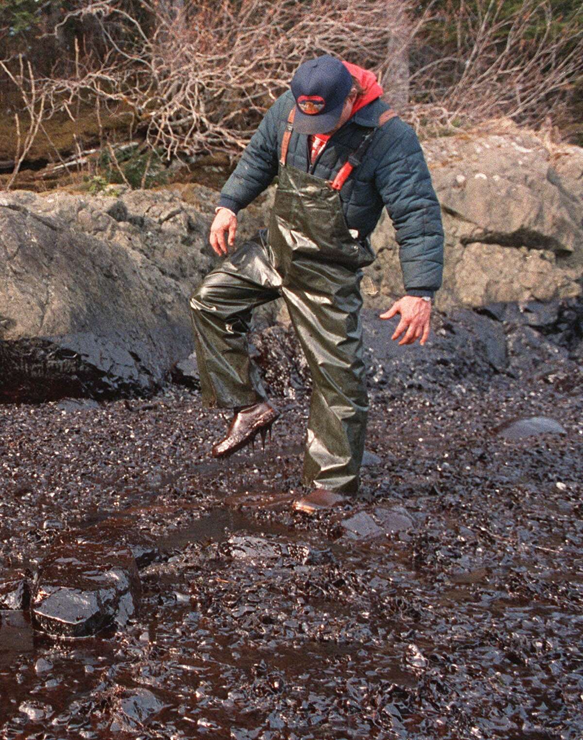 Exxon valdez oil spill damage per animal