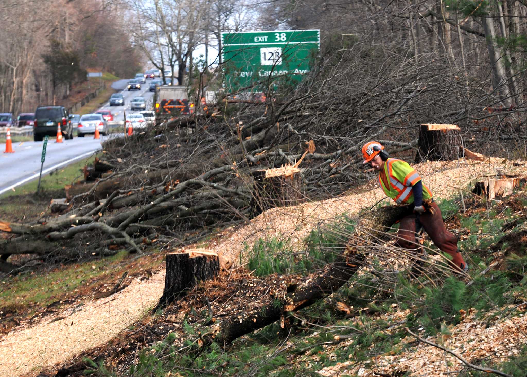 Estate of couple killed by falling tree in Westport allowed to sue state