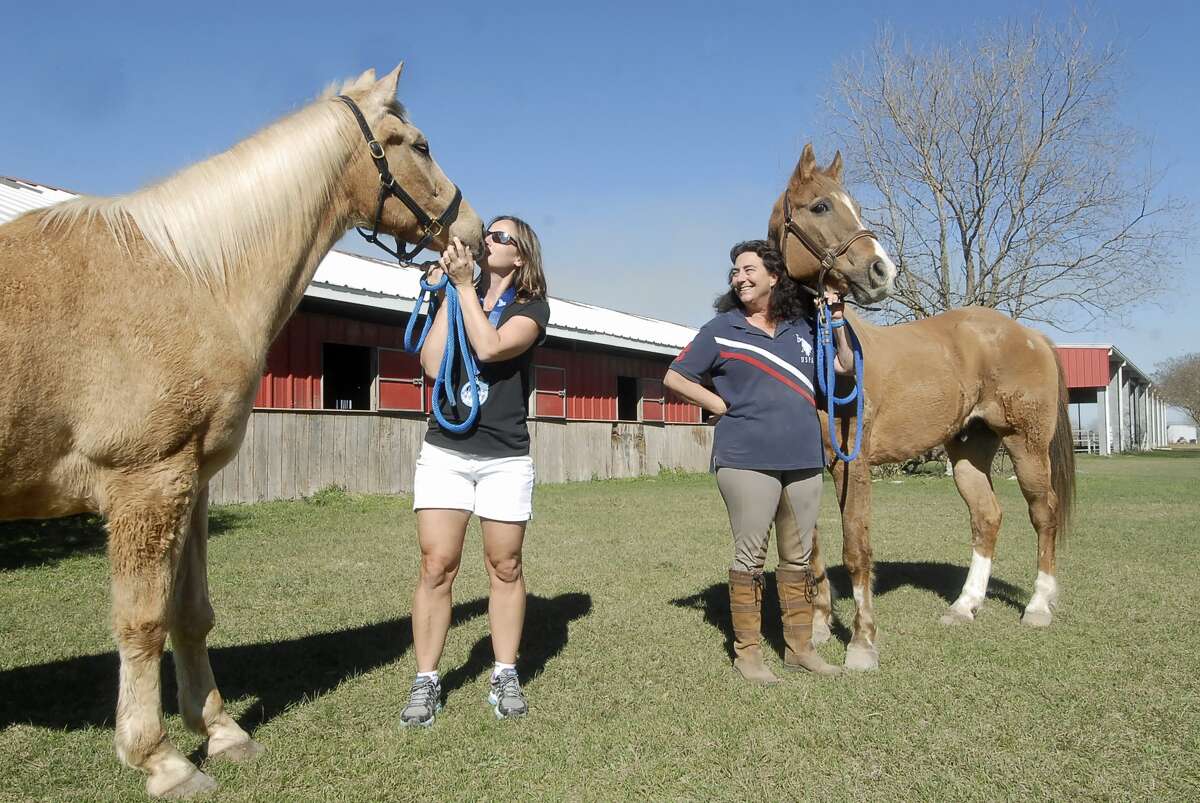 Marathoner goes extra mile to help horse rescue center