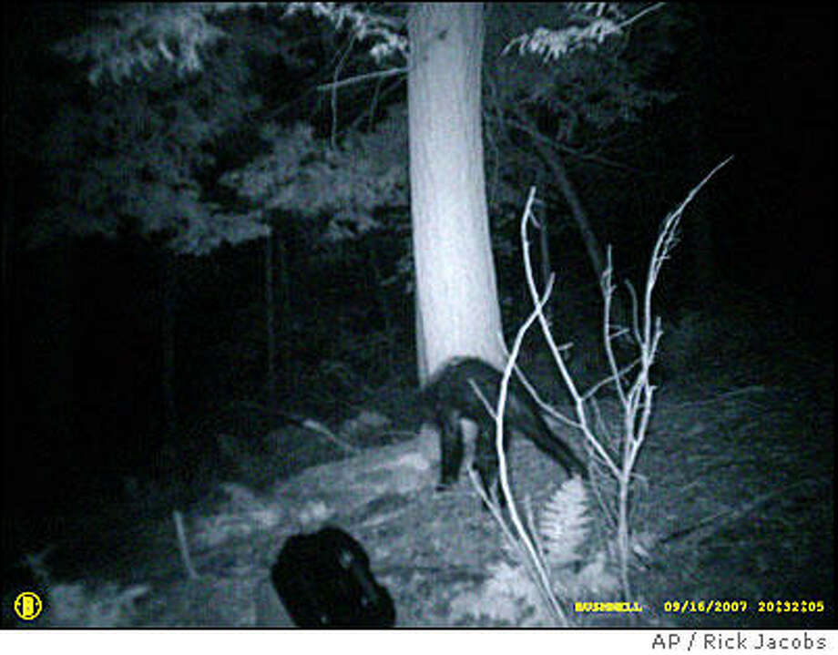 Texas state park posts footage of 'Bigfoot' sighting ahead of theme