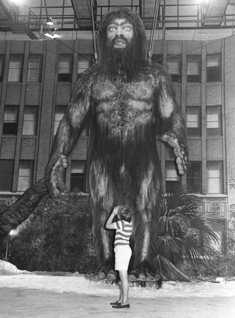 Bill could make Bigfoot state's official cryptid