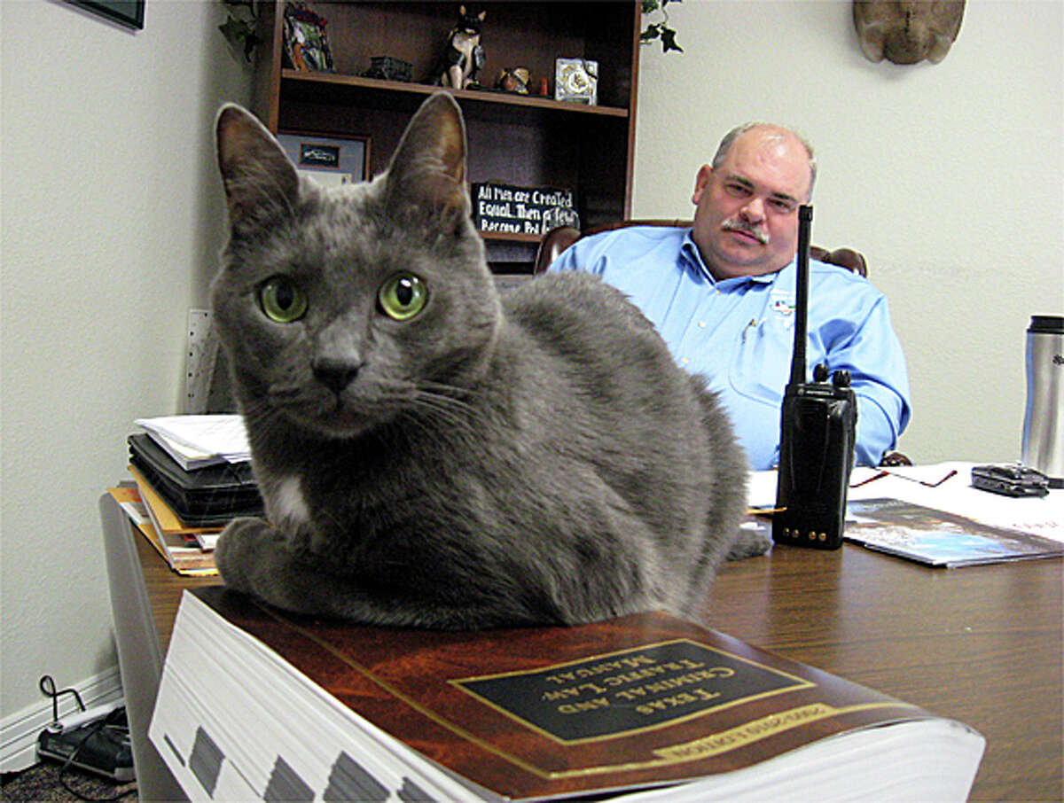 Jade keeps watch over visitors to Lumberton Police Chief Danny Sullins' office and provides a sort of therapy to both upset visitors and the police officers themselves, Sullins said. Blair Ortmann/The Enterprise