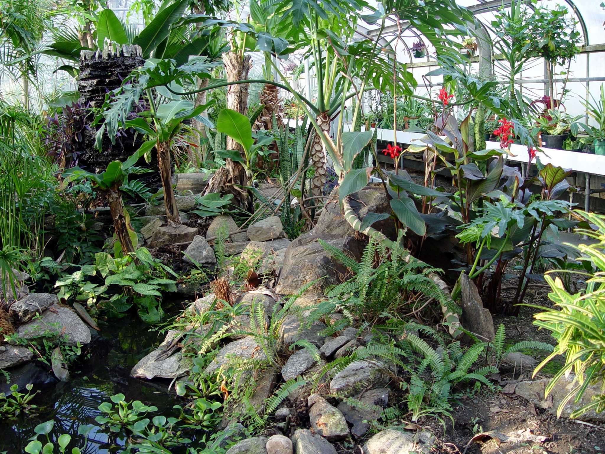 Spring activities gear up at Beardsley Zoo