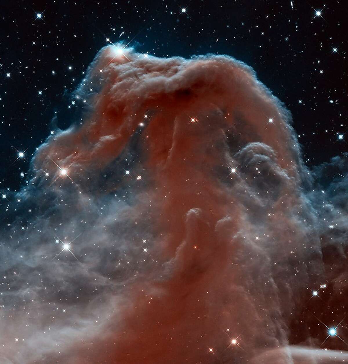  This new Hubble image, captured and released on April 19, 2013 by the ESA-NASA Hubble Heritage to celebrate the telescopeâ€™s 23rd year in orbit, shows part of the sky in the constellation of Orion (The Hunter). Rising like a giant seahorse from turbulent waves of dust and gas is the Horsehead Nebula, otherwise known as Barnard 33. This image shows the region in infrared light, which has longer wavelengths than visible light and can pierce through the dusty material that usually obscures the nebulaâ€™s inner regions. The result is a rather ethereal and fragile-looking structure, made of delicate folds of gas â€” very different to the nebulaâ€™s appearance in visible light.== RESTRICTED TO EDITORIAL USE - MANDATORY CREDIT "AFP PHOTO / NASA, ESA, and the Hubble Heritage Team (STScI/AURA)" - NO MARKETING - NO ADVERTISING CAMPAIGNS - DISTRIBUTED AS A SERVICE TO CLIENTS ==HO/AFP/Getty Images