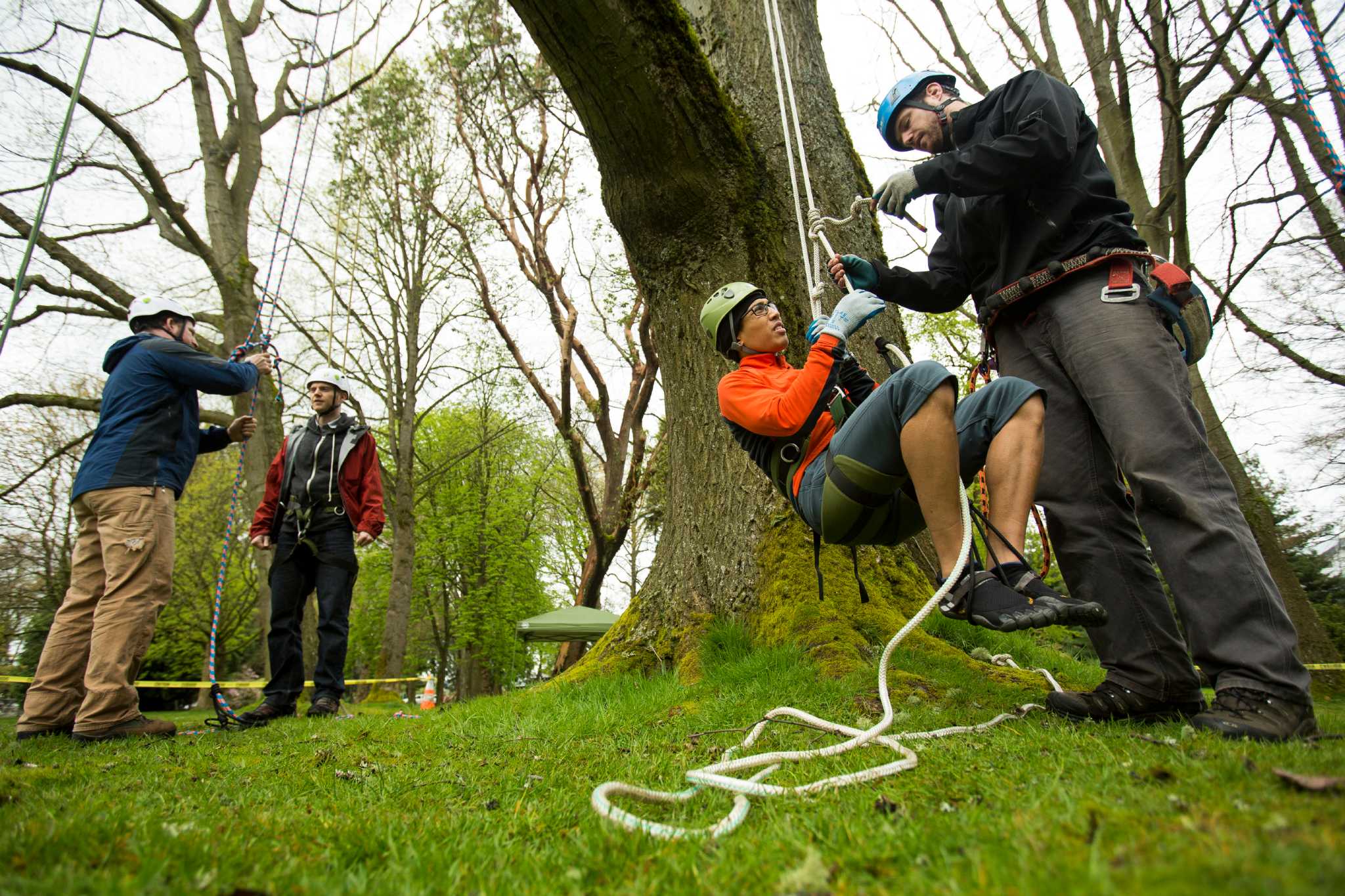 Tree climbers enjoy new heights