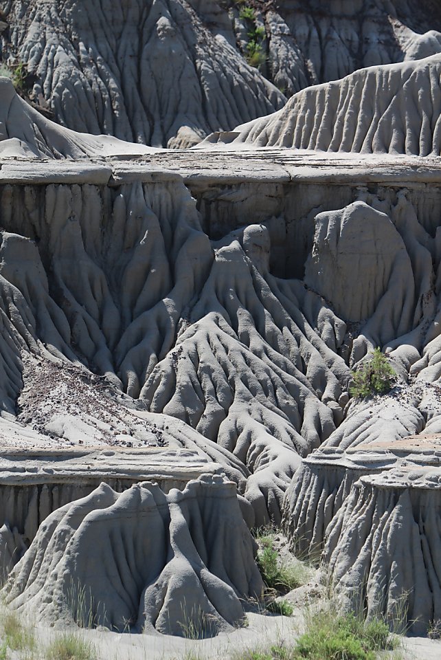 badlands dinosaur dig