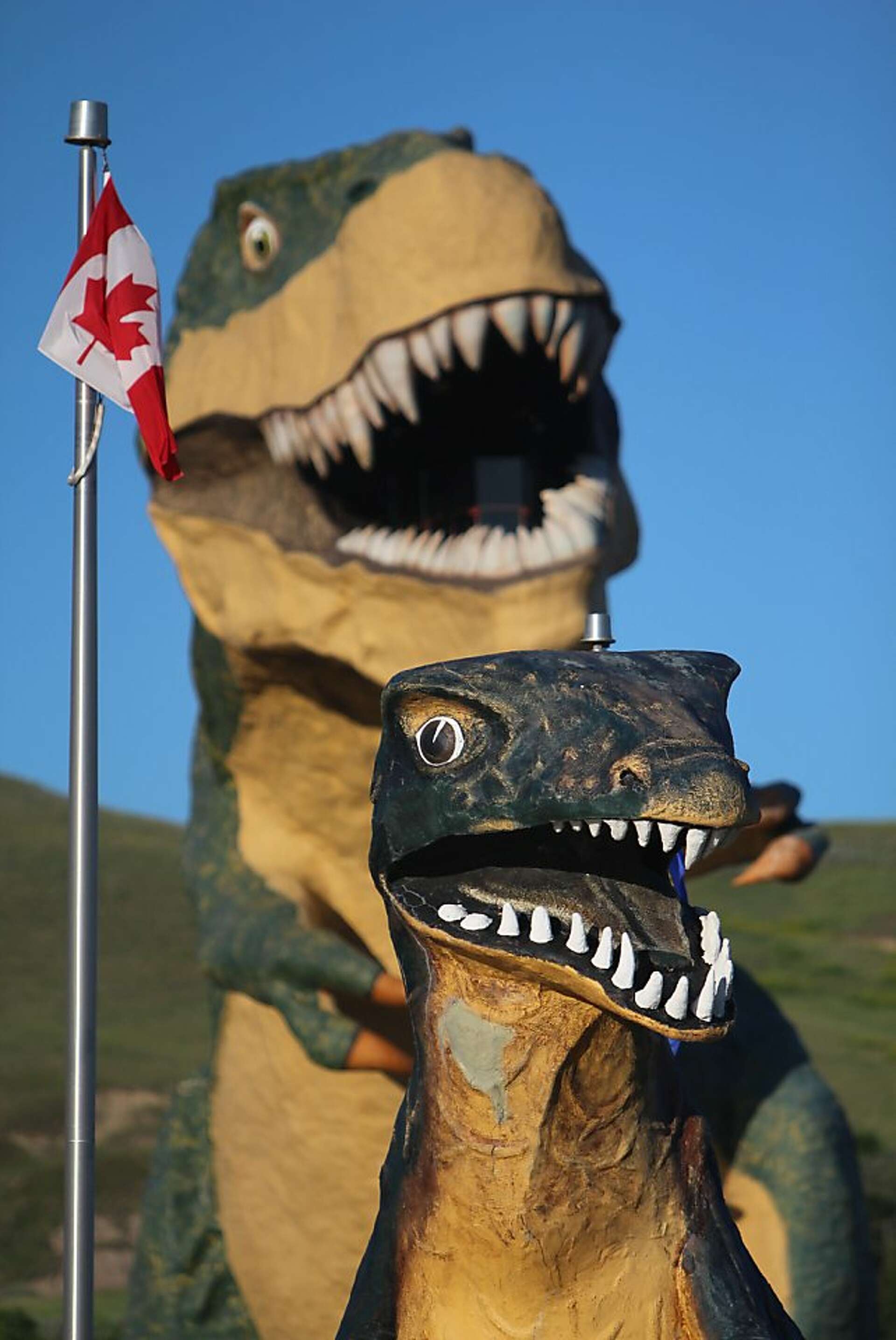 Tracking dinosaurs in Canadian Badlands