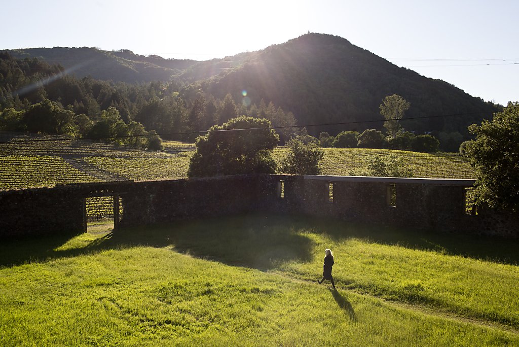 Jack London Recalled In Glen Ellen Park   RawImage 